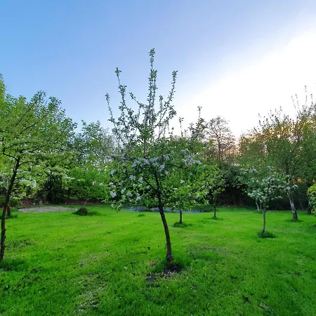 Moi Luettje Ostfreesen Landhuus Vakantiehuis