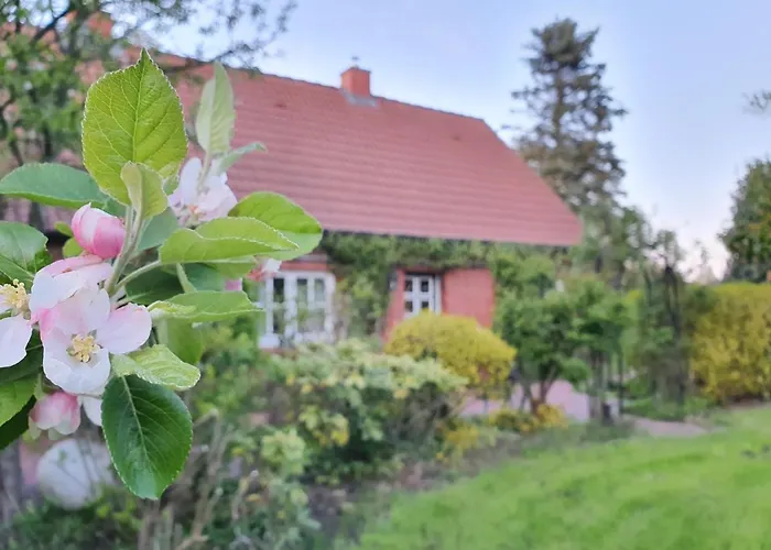 Moi Luettje Ostfreesen Landhuus Casa de Férias Halbemond